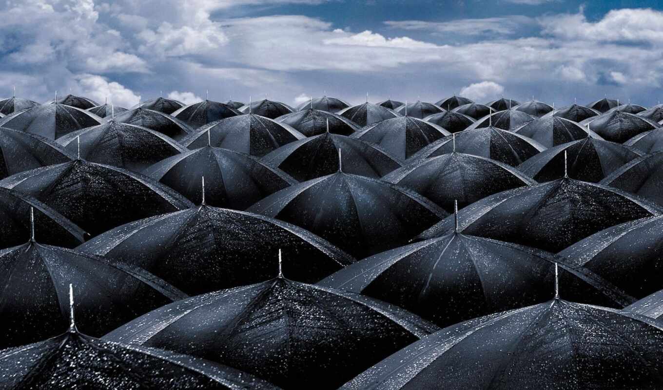 black, white, umbrella
