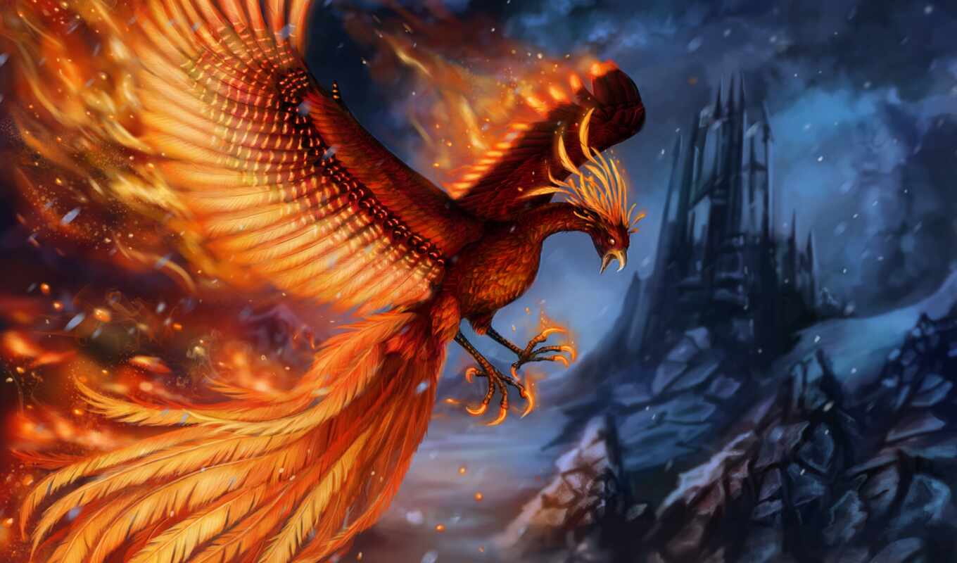 птица, крыло, арт, phoenix