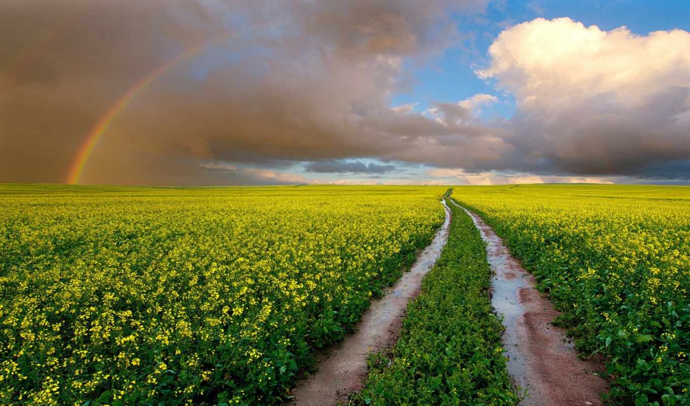 nature, sky, picture, rainbow, beautiful, road, beautifully, rapeseed, clouds, margin