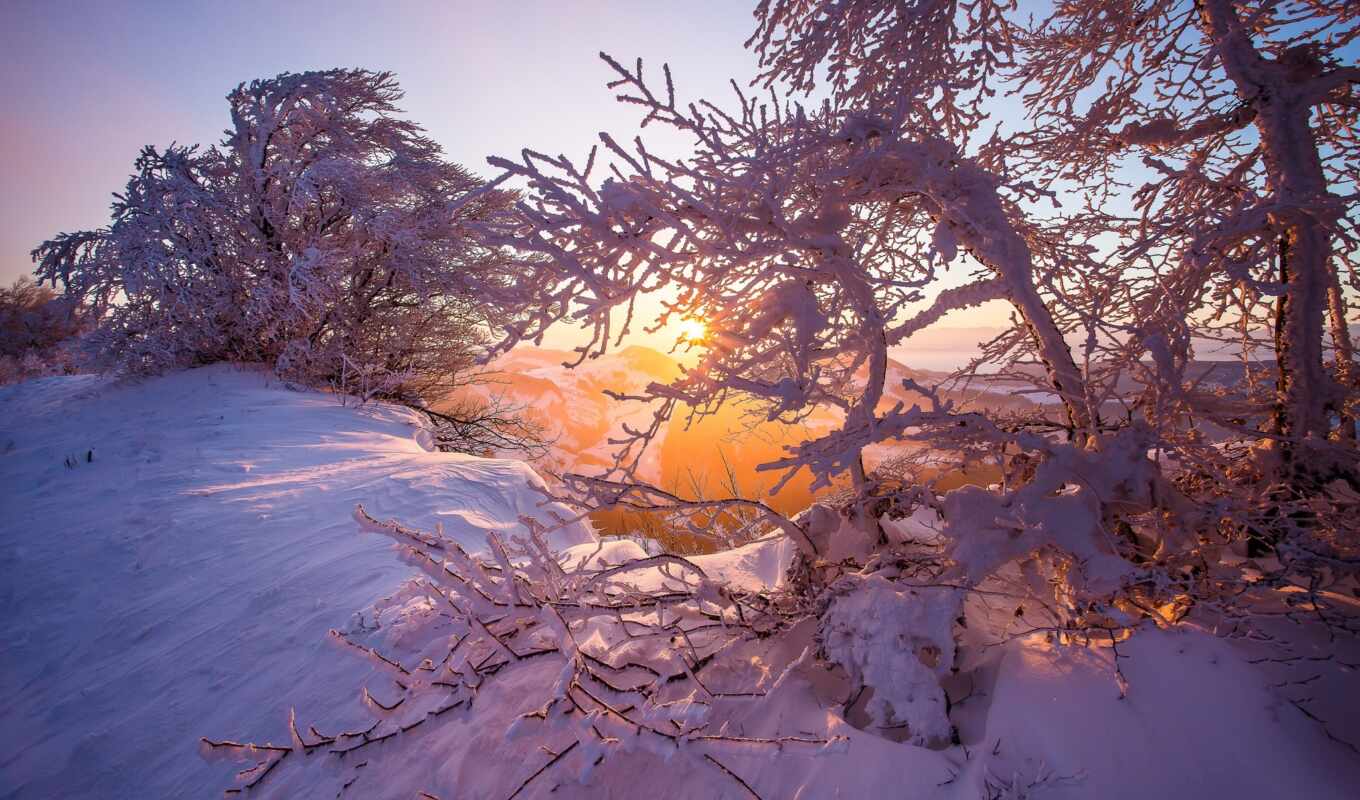 природа, дерево, снег, рассвет, winter, гора, утро, swiss, rising