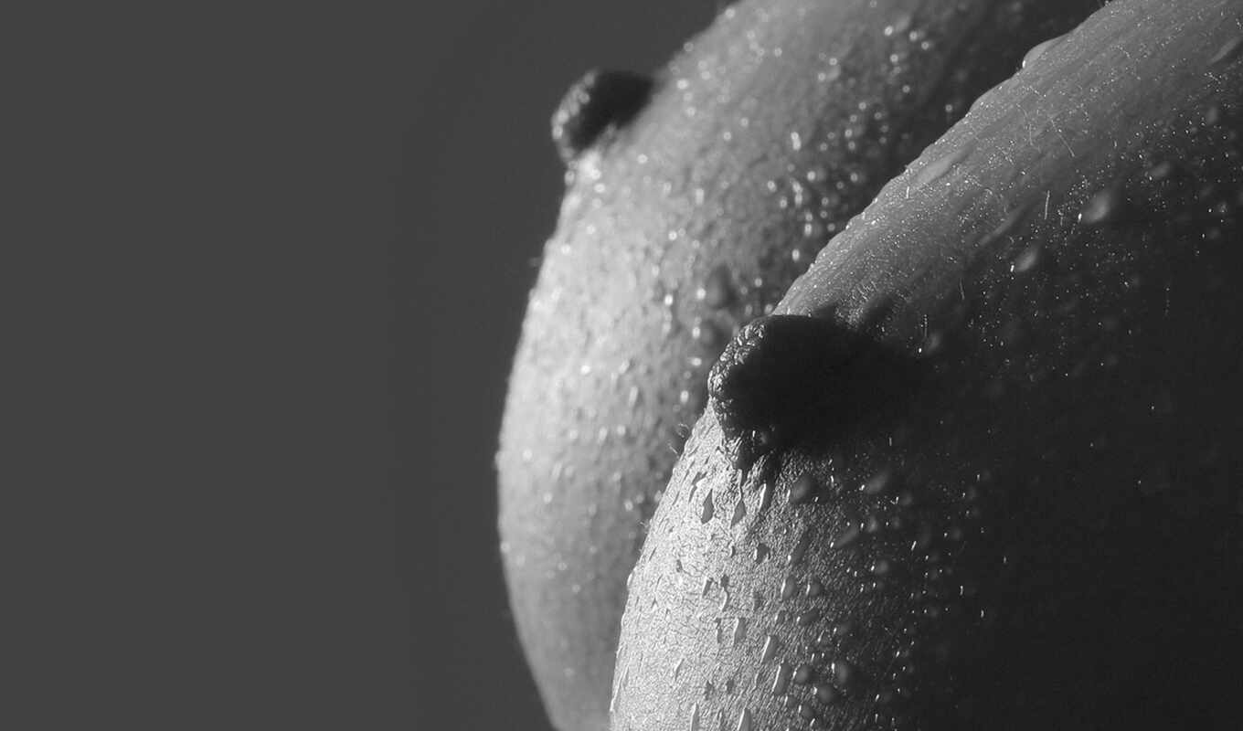 Ciriza, Image Stills, Erotic Slumbers Of Pluto