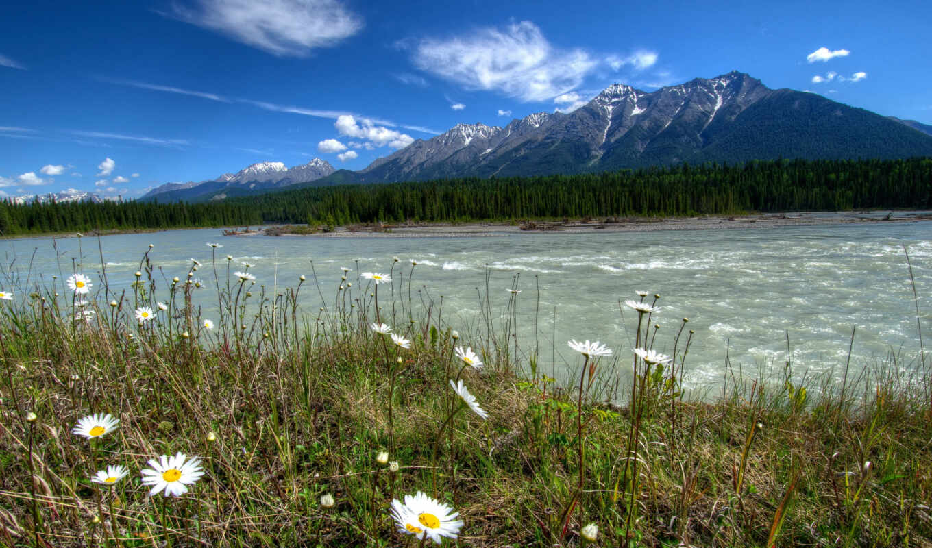 природа, landscape, канада, mountains, rivers, daisies, паркс, vermilion, kootenay