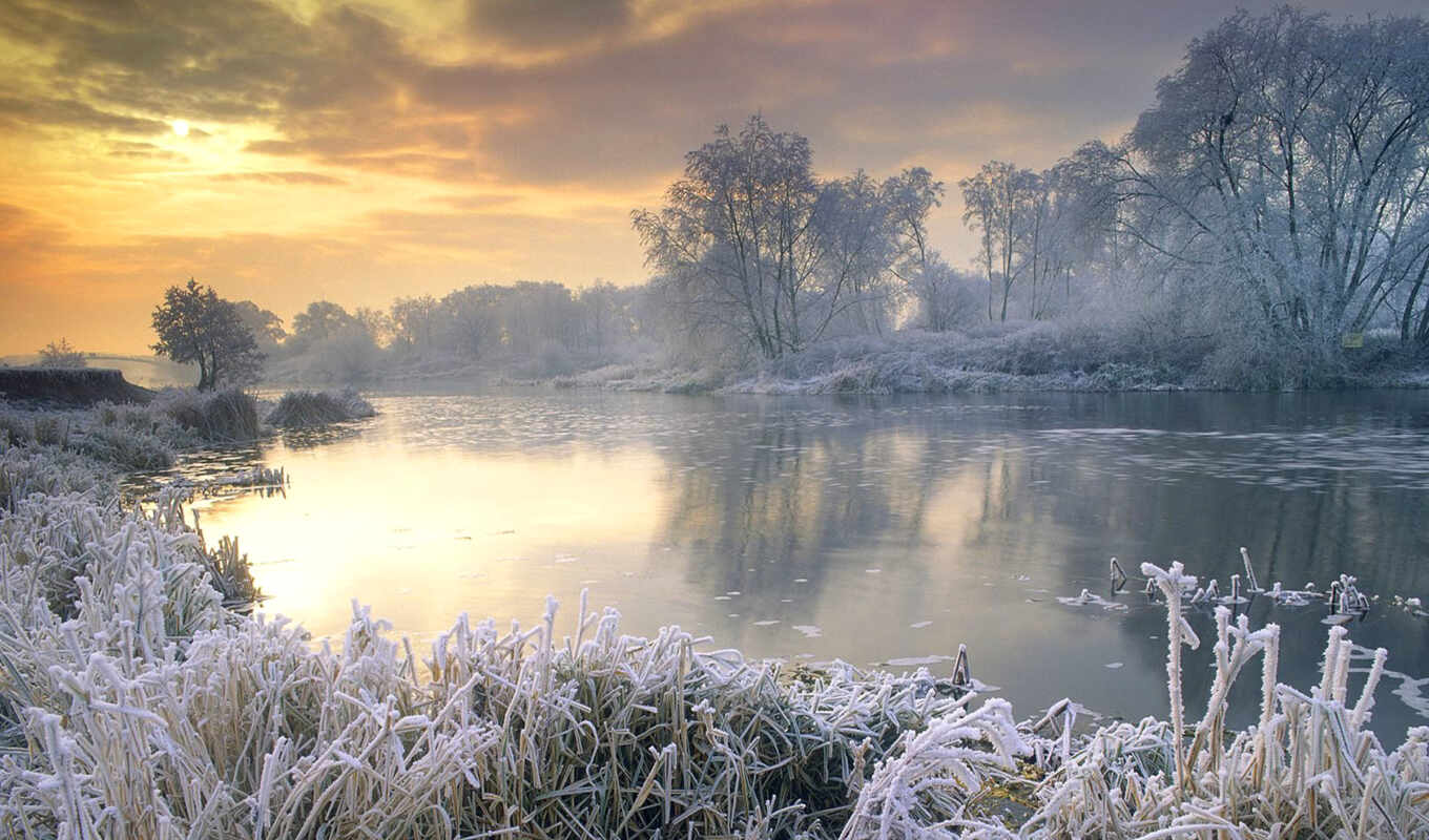 nature, frost, winter, forest, card, river, trees, the river
