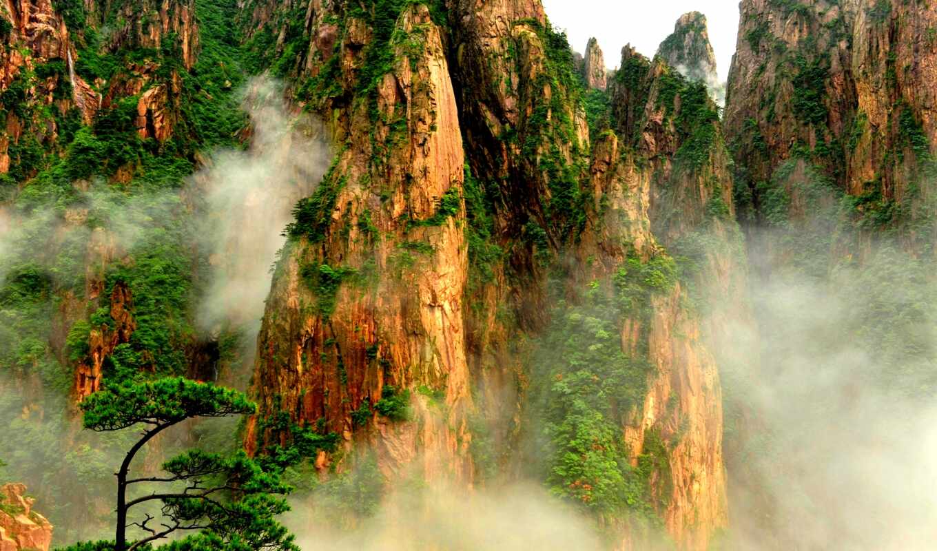 nature, tree, mountain, waterfall, natural, vegetation, reserve, china, forest, stone, peaks