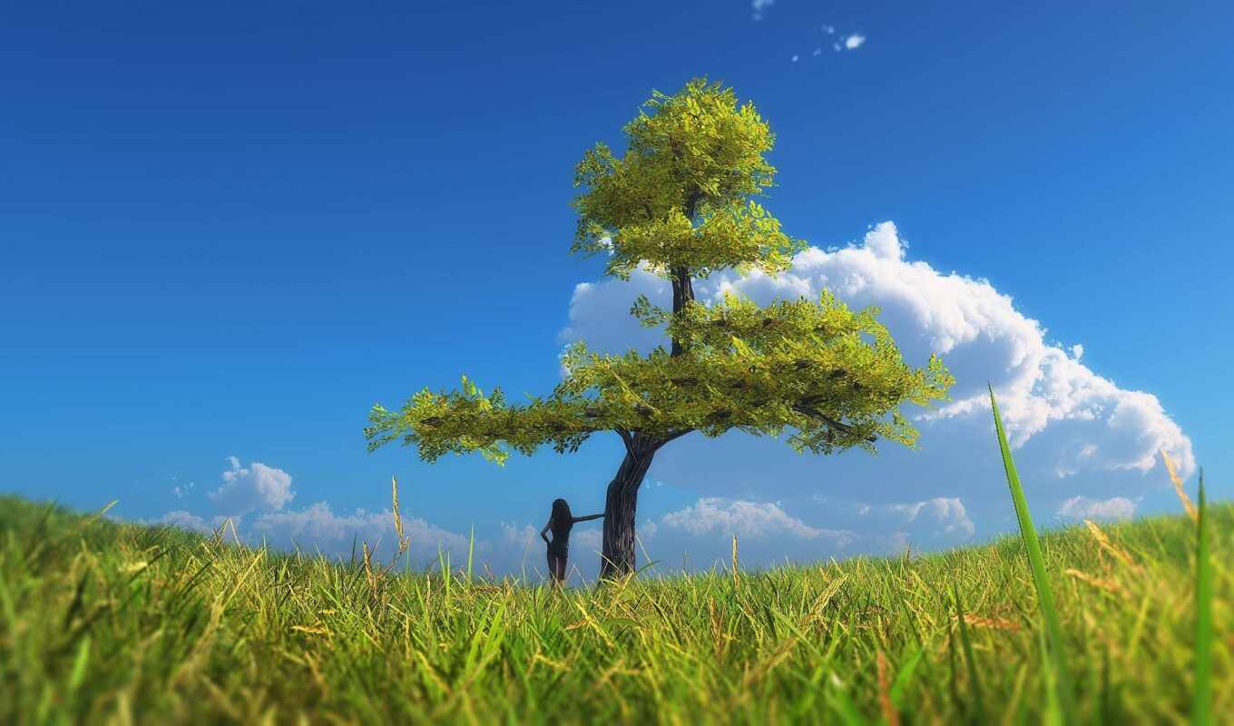 природа, небо, дерево, трава, нечто, идея