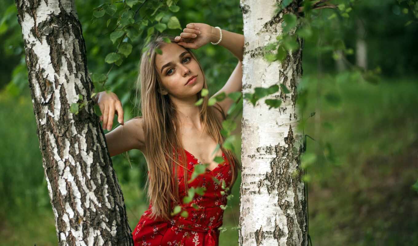 girl, picture, forest, to find, thous, birch tree