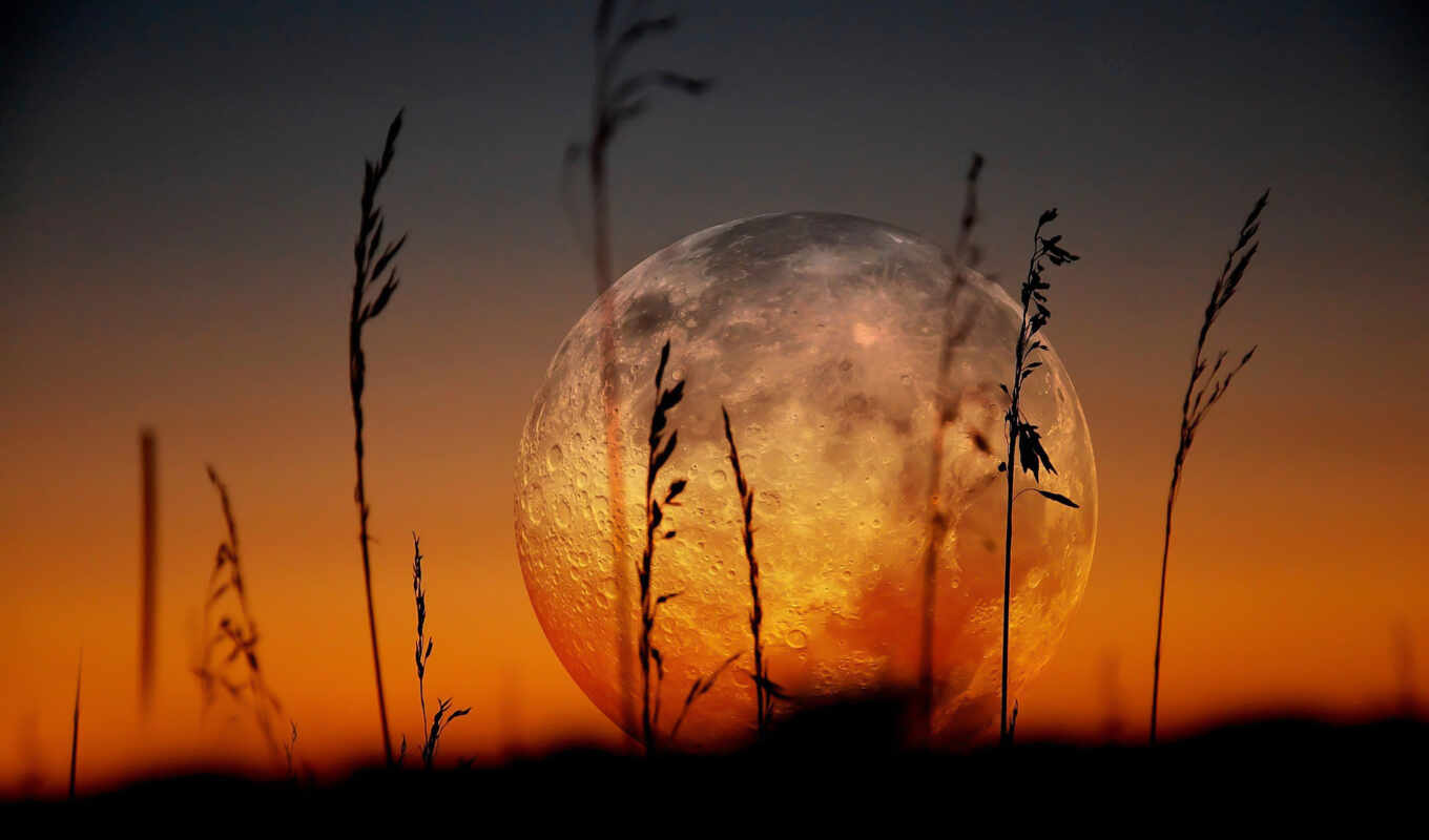 nature, sunset, moon, landscape