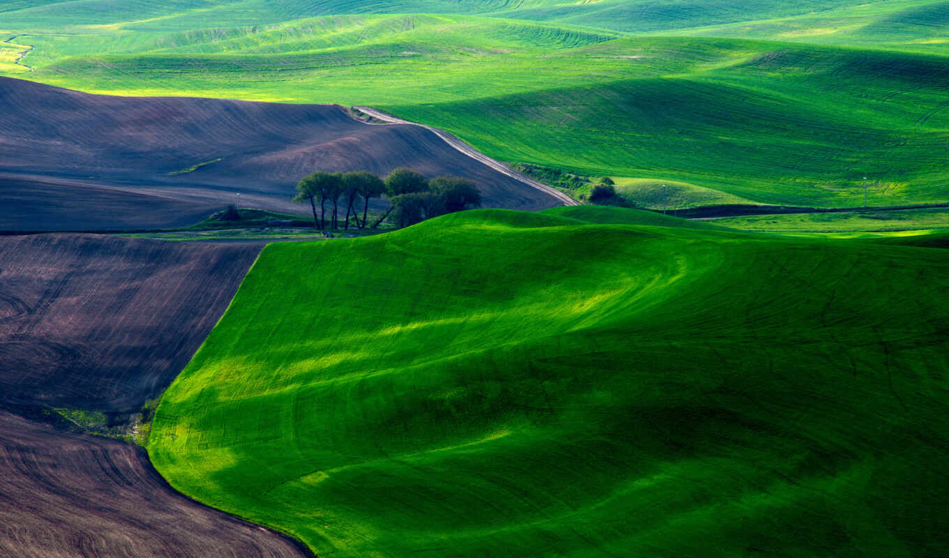 пейзажи -, зеленые, луга, панорама, margin