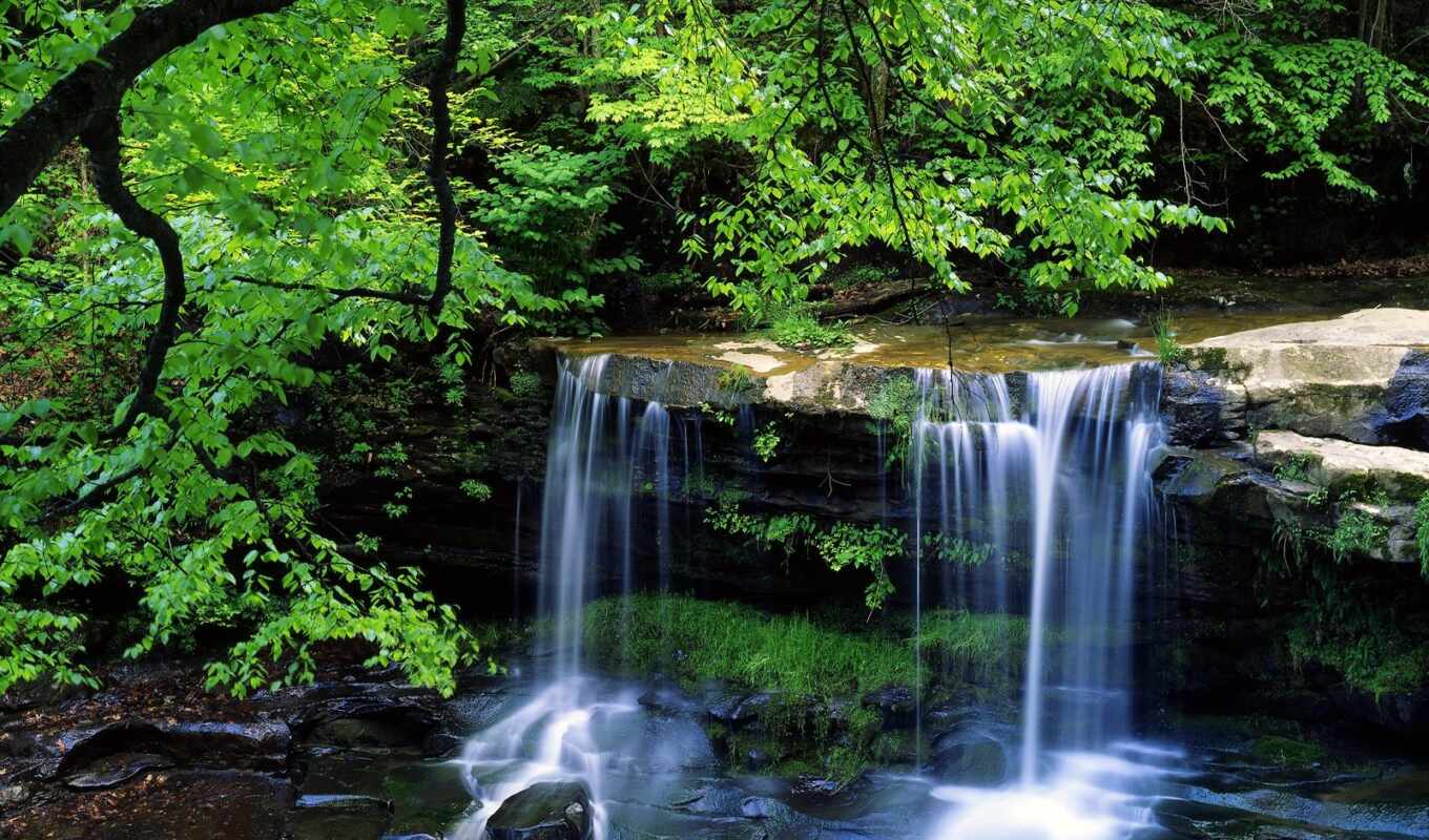 Как установить фон телефона. Водопады. Красивые водопады. Лесной водопад. Живая природа.