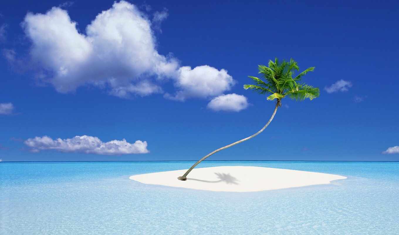 пляж, море, песок, собака, ocean, рай, hawaii, мойка
