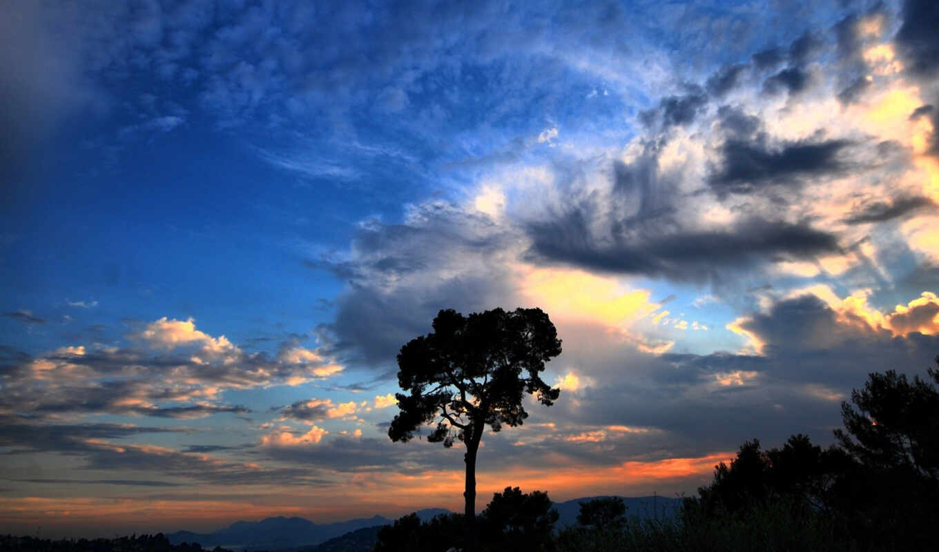 nature, fone, tree, sky, national, geographic