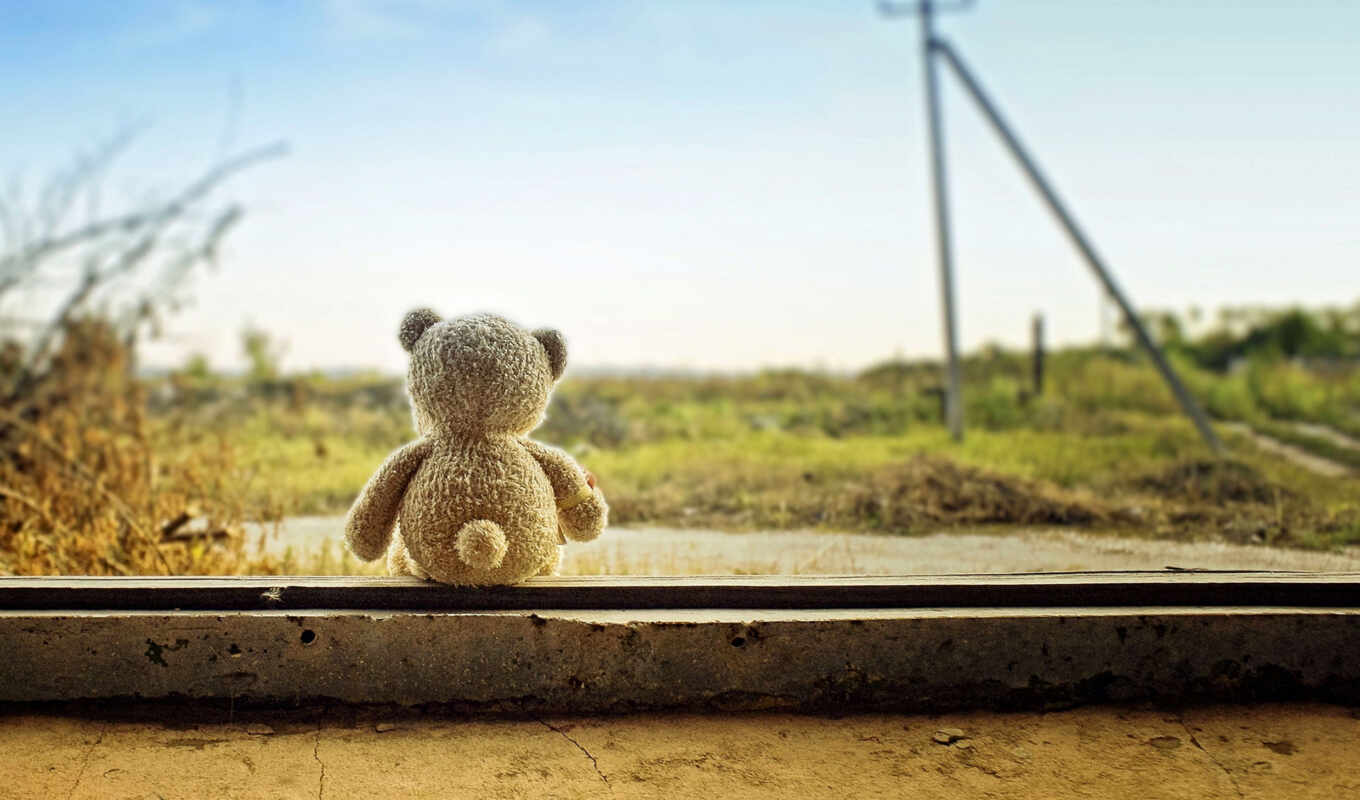 nature, toys, picture, bear, toy, journey, bears, moods, bear