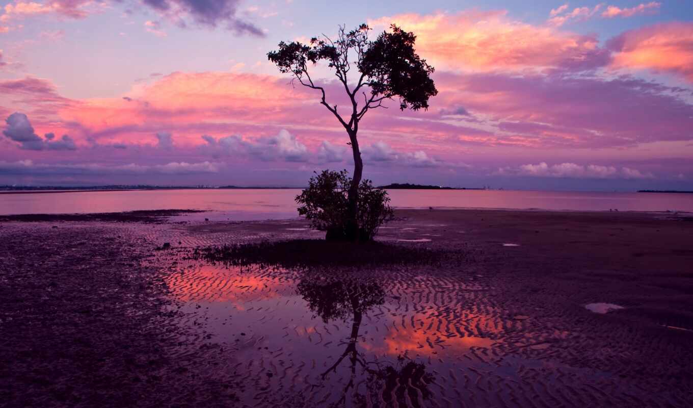 озеро, природа, небо, дерево, purple, закат, гора, розовый, лодка, одинокий