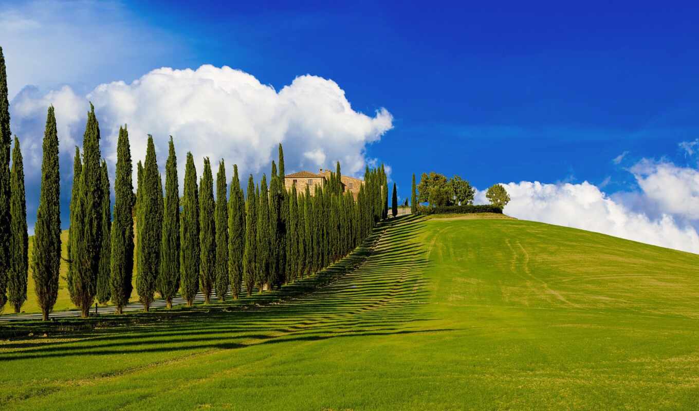 summer, landscape, with, cypress, Europe, italy, travel, Tuscany, tuscany, Tuscany, countryside