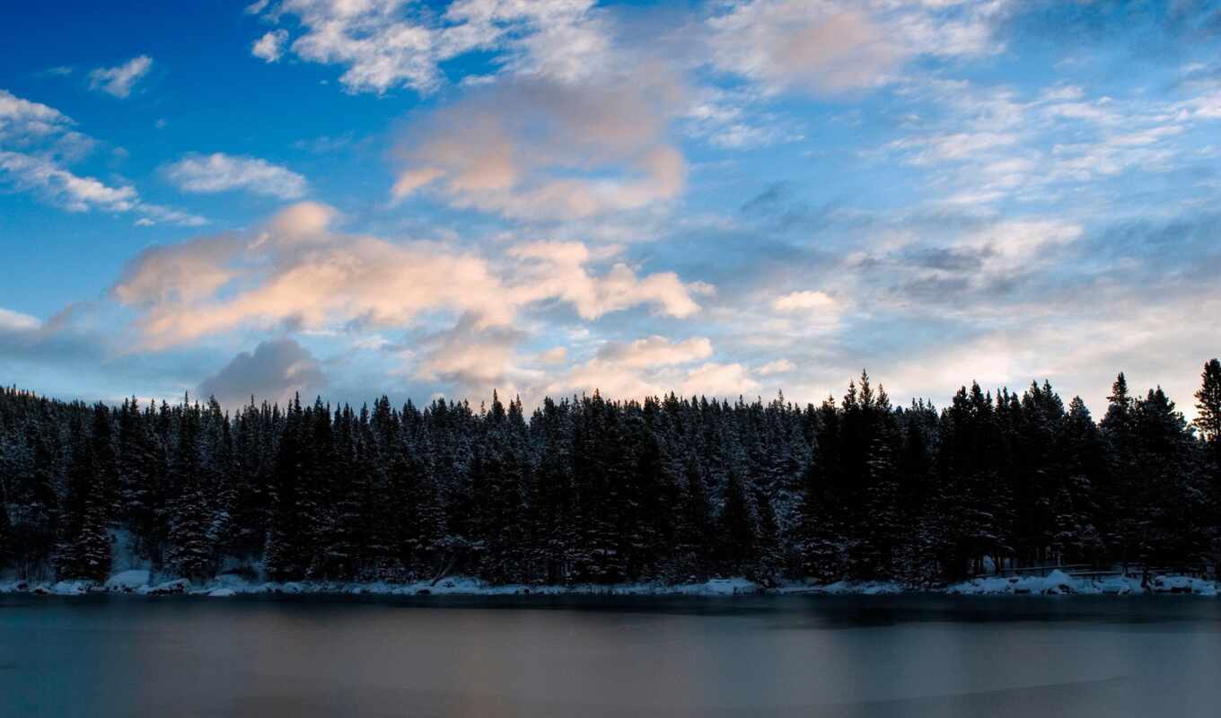 природа, небо, desktop, blue, снег, winter, лес