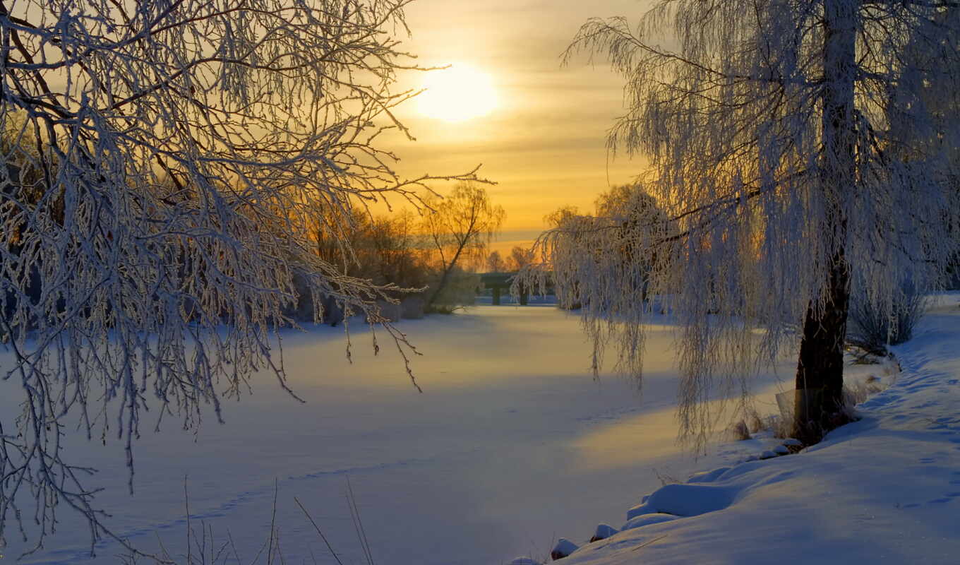красивые, природы, утро, зимнее