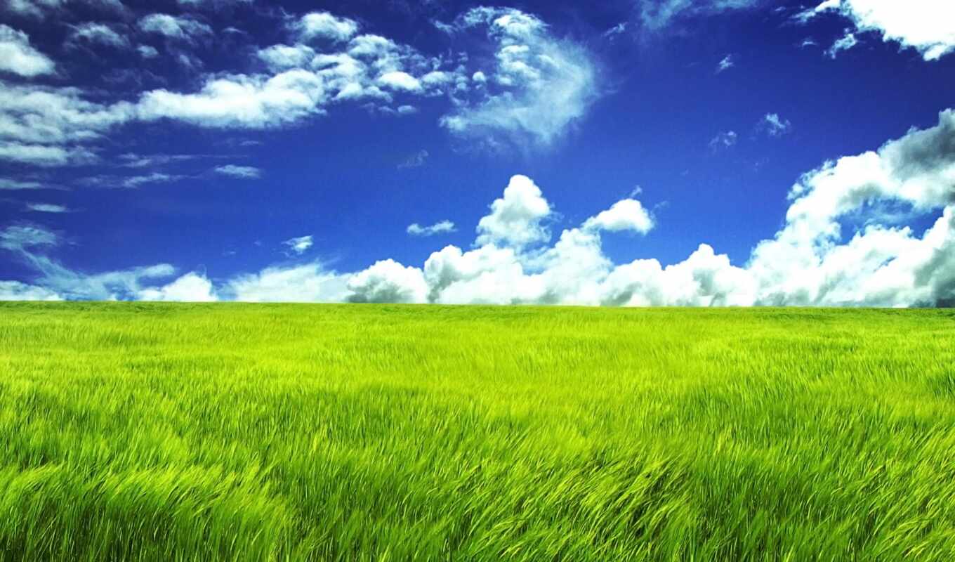 free, background, resolution, heroes, green, grass, magic, bright