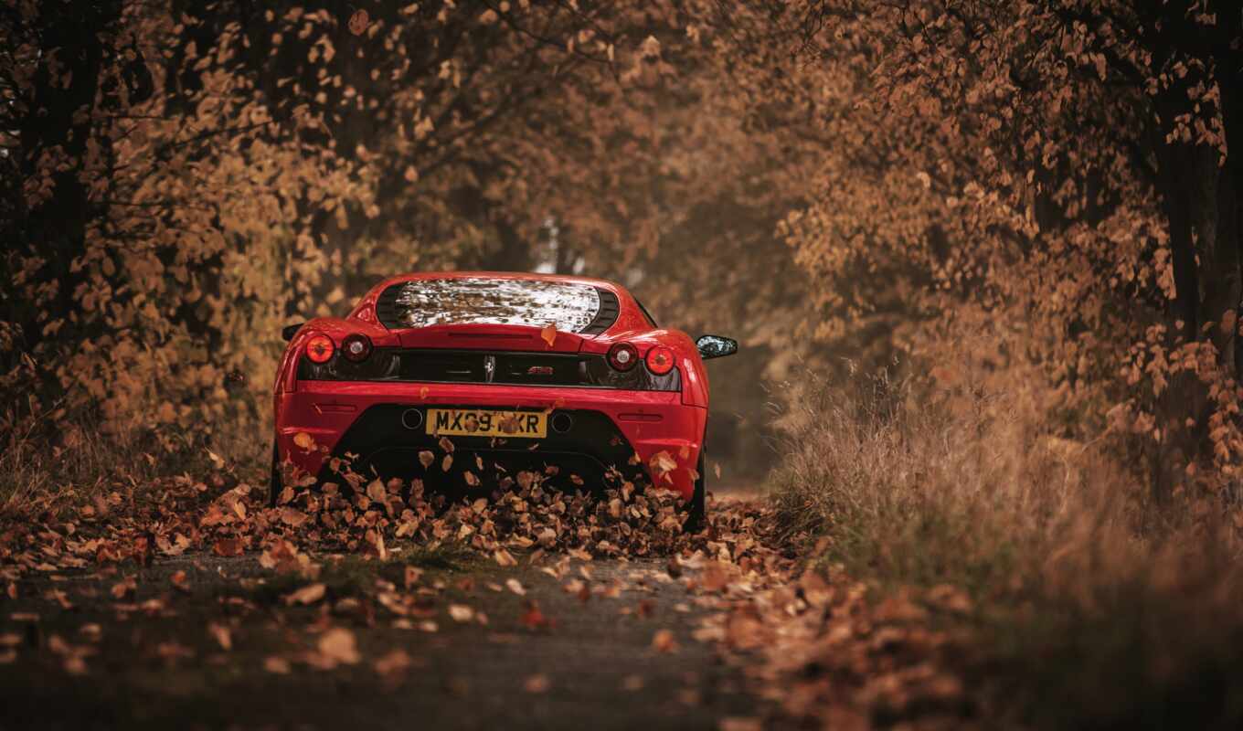 view, sheet, red, car, ferrari, from behind, autumn, expensive, race, scooder