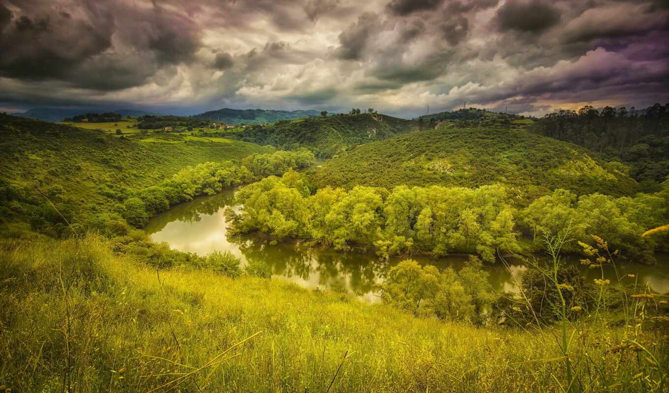 nature, shrubland