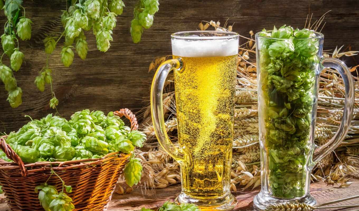 bar, plant, hop, brewer, beer, beer, well, Smolensk, vita, warrant