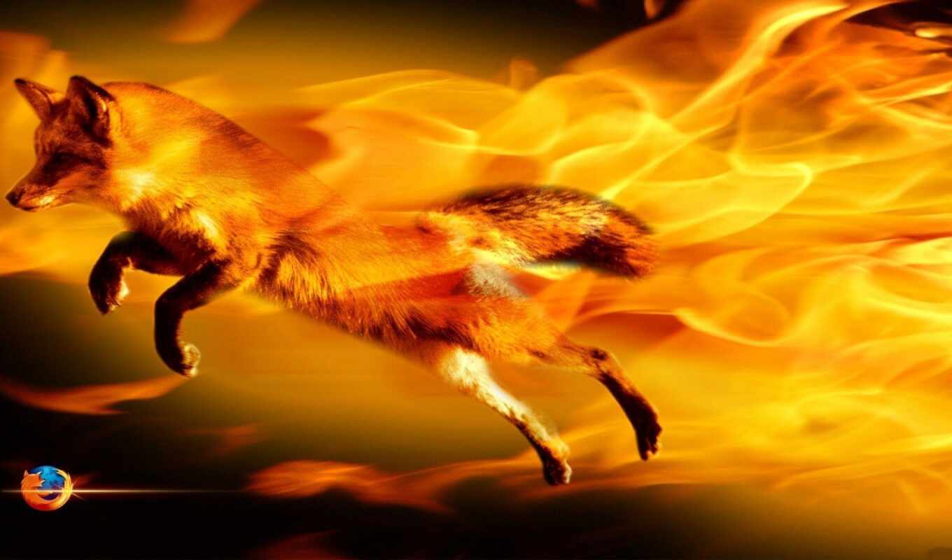 fox, fire, fiery, funart, because