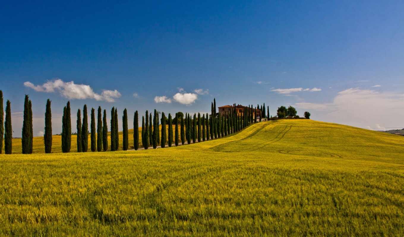 nature, field, landscapes, val, italy, Tuscany, tuscany, siena, cipressi, dorcia