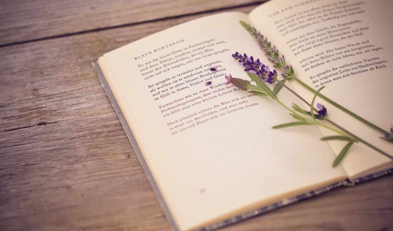книга, автора, правильный, книги, lavender, книг, стих, книге, узнай, назовите