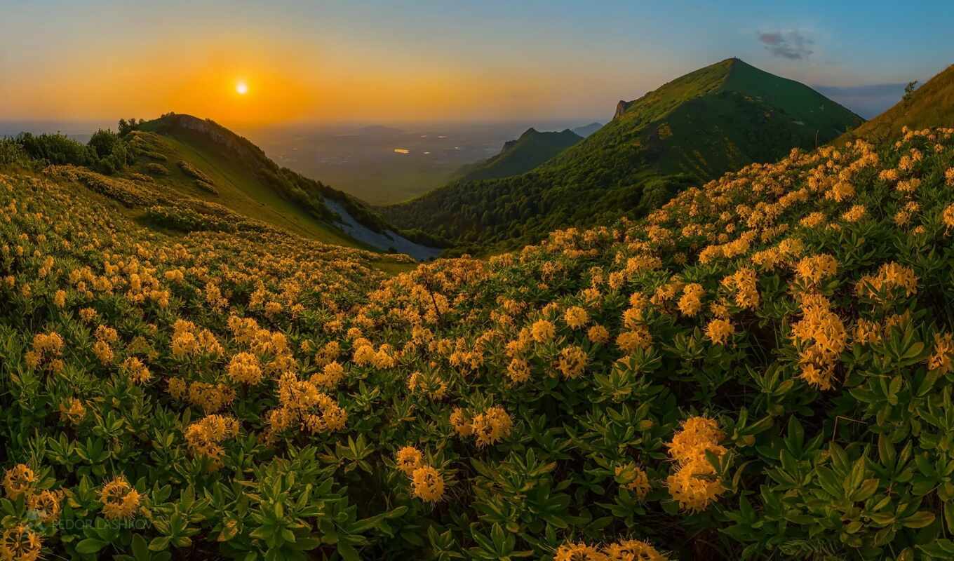 flowers, tree, sunset, mountain, landscape, top, cloud, yellow, bodendron, lash, beshtau