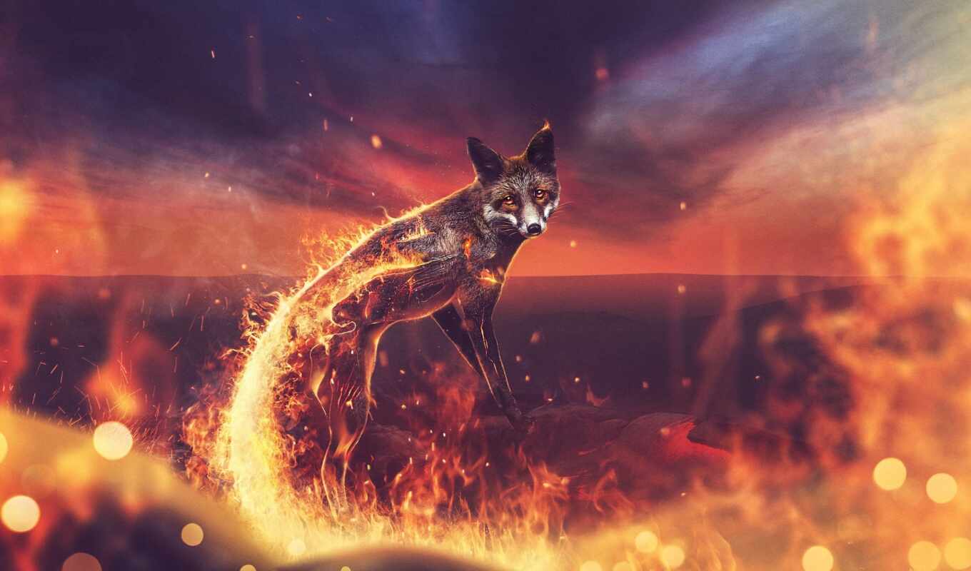 background, red, fox, fire, firefox, version, bit, fiery, permission, browser