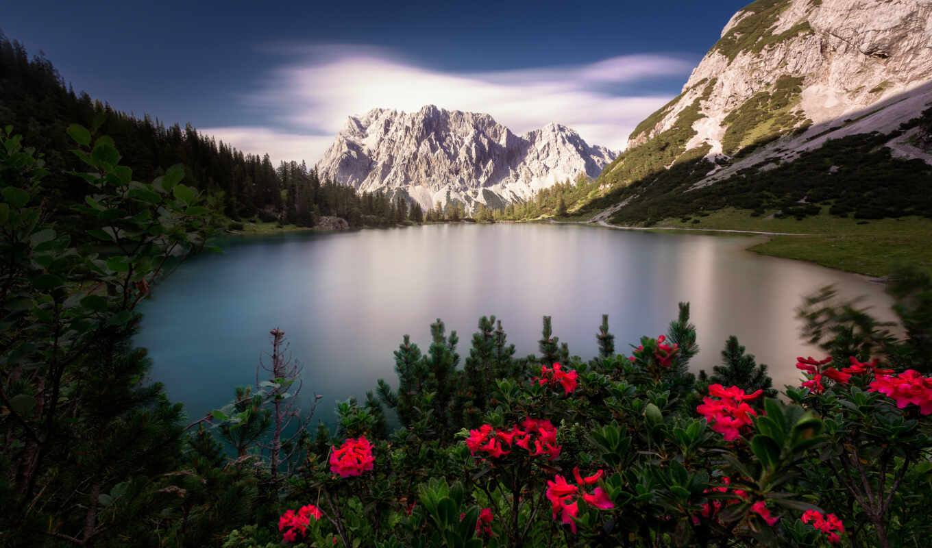 lake, nature, sky, flowers, forest, mountain, landscape, Austria, the alps, seebensee