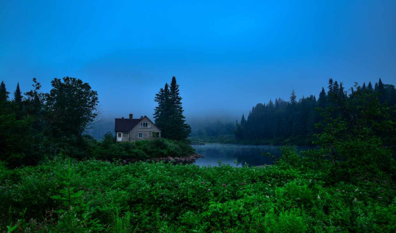 house, map, tree, green, forest, day, river, fog, greenery, fore