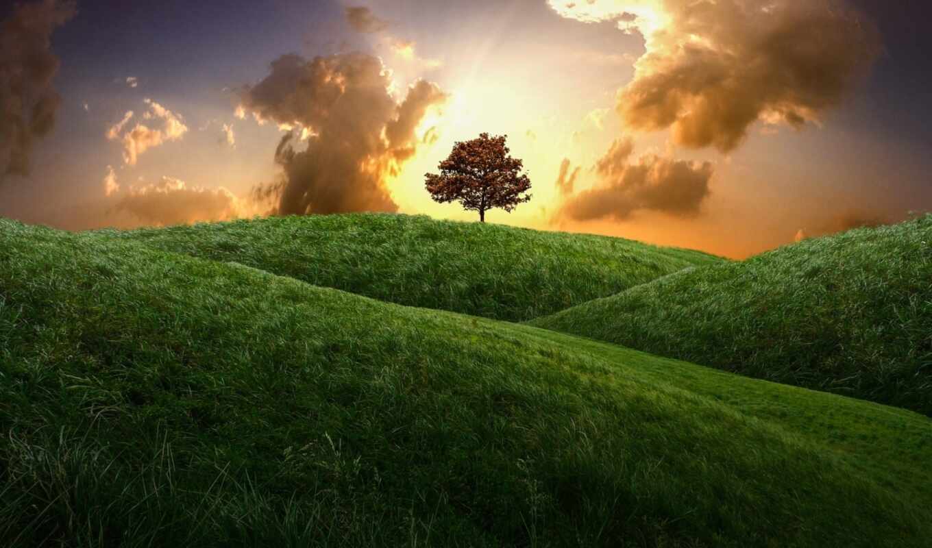 sky, background, tree, green, sunset, landscape, hill, lonely, cloudy