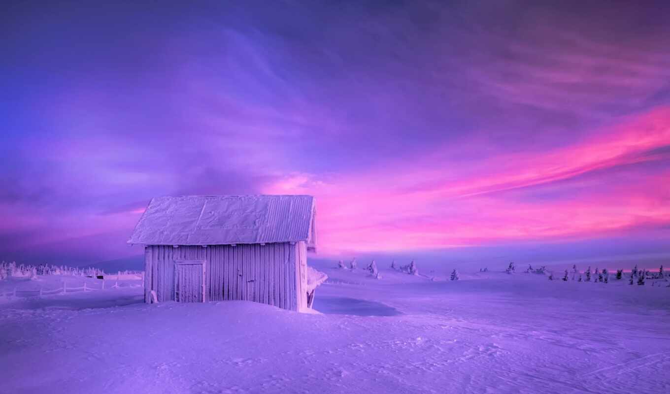 nature, sky, picture, sun, snow, winter, trees, norwegian