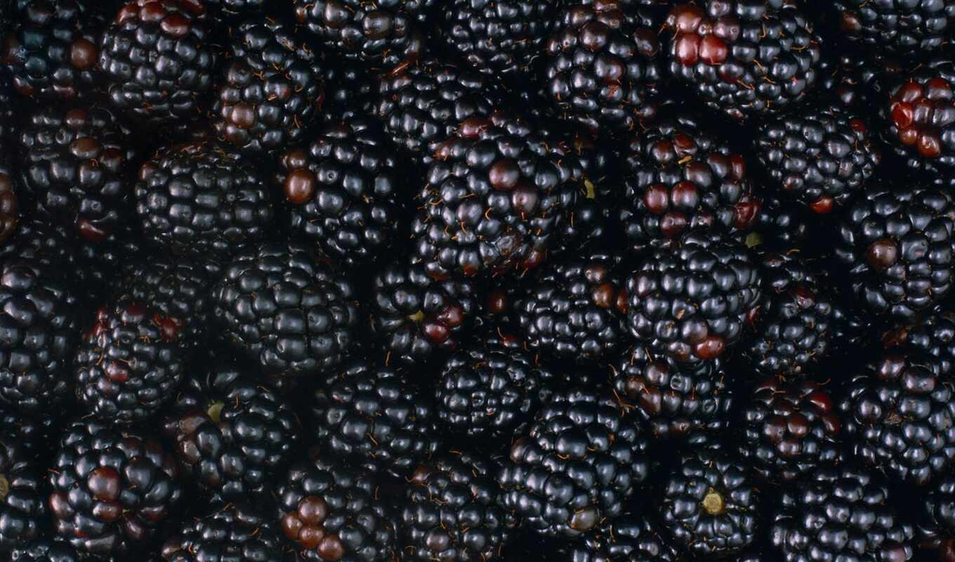 detail, blackberry, many, berry, meal, hazelnuts, nut, makryi