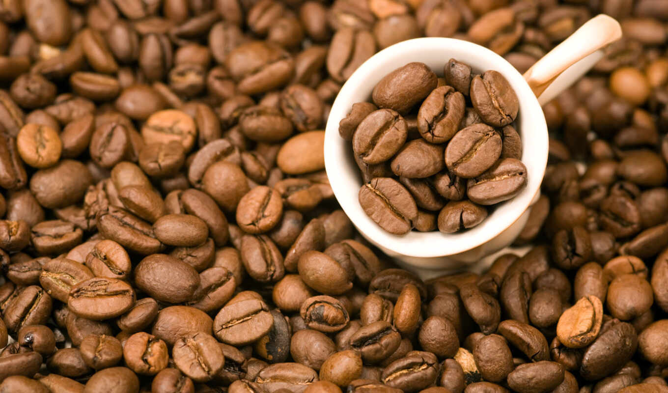 coffee, зерно, зерна, кофейные