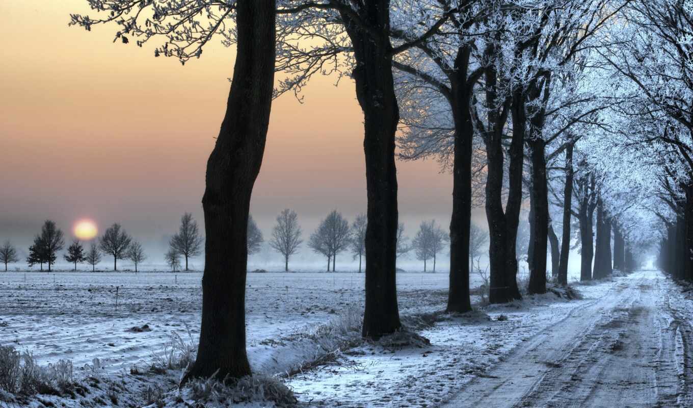 снег, winter, лес, дорога, trees, следы, зимой, деревь