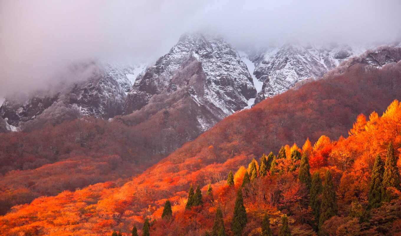 гора, осень