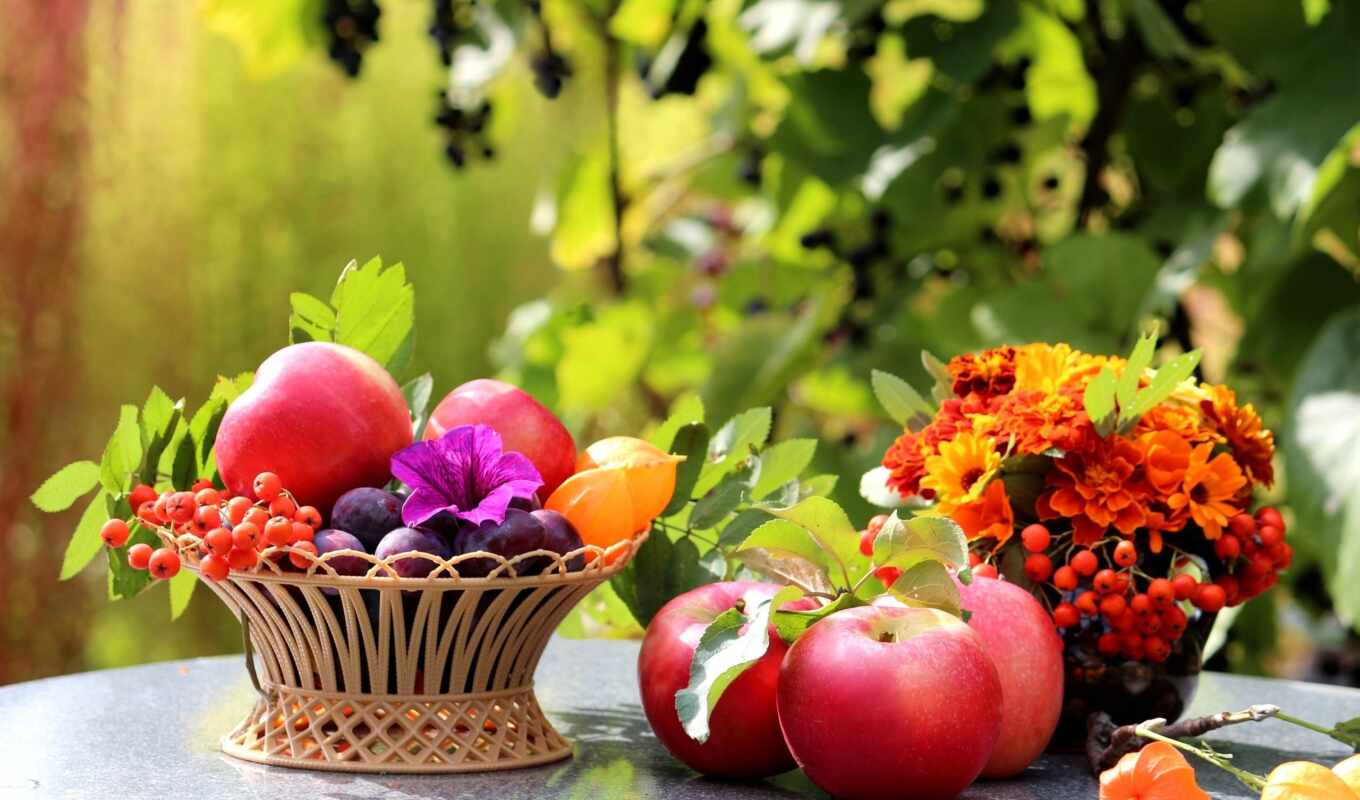 картинка, листва, корзина, cvety, яблоки, фрукты, рябина, натюрморт, сливы