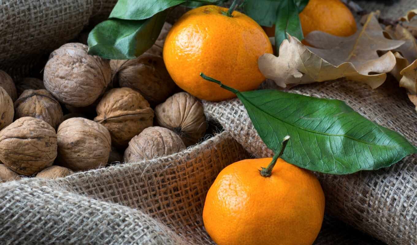 head, orange, vessel, convolutions, nut, tangerine