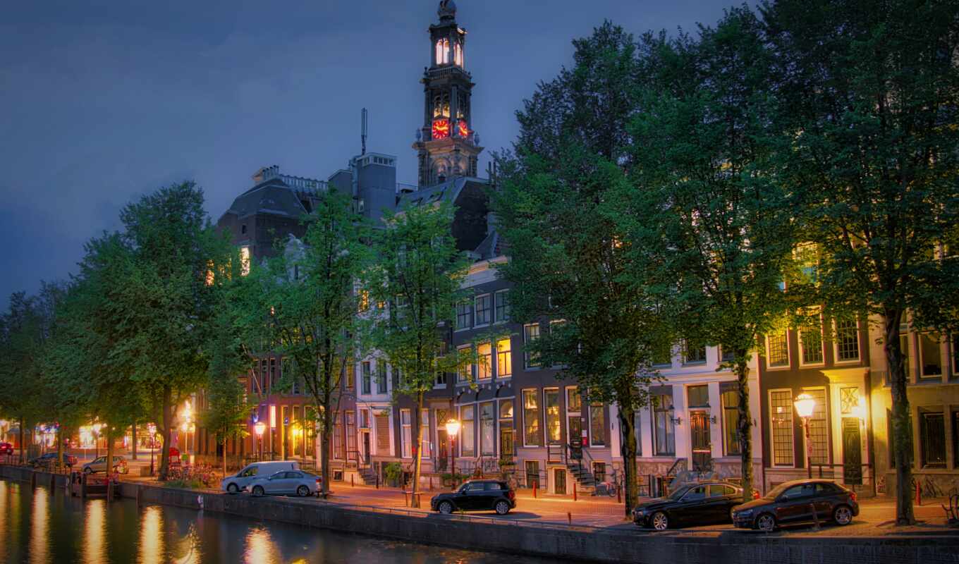 дерево, город, огни, amsterdam, башня