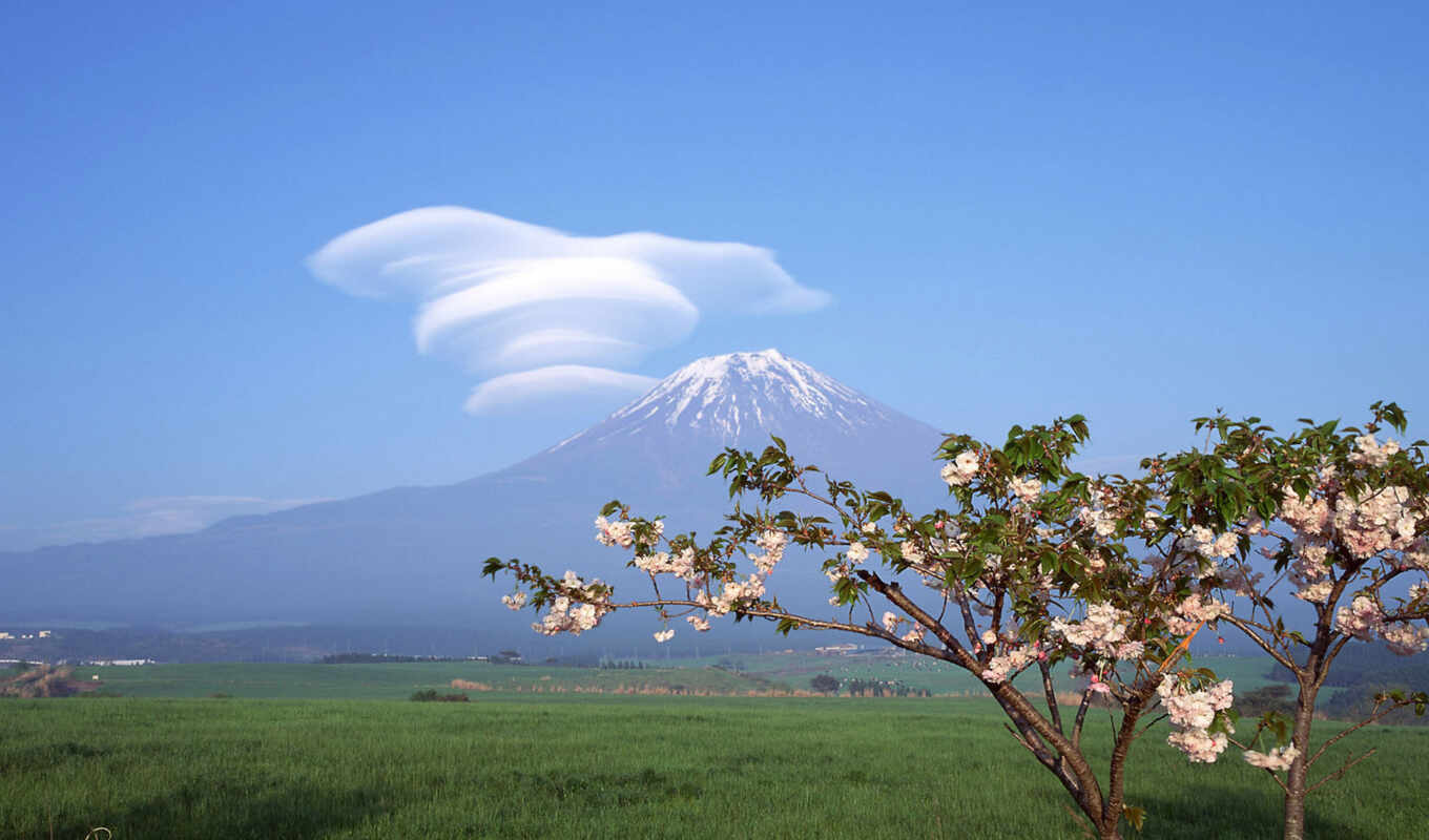 весна горы природа цветы небо облака бесплатно