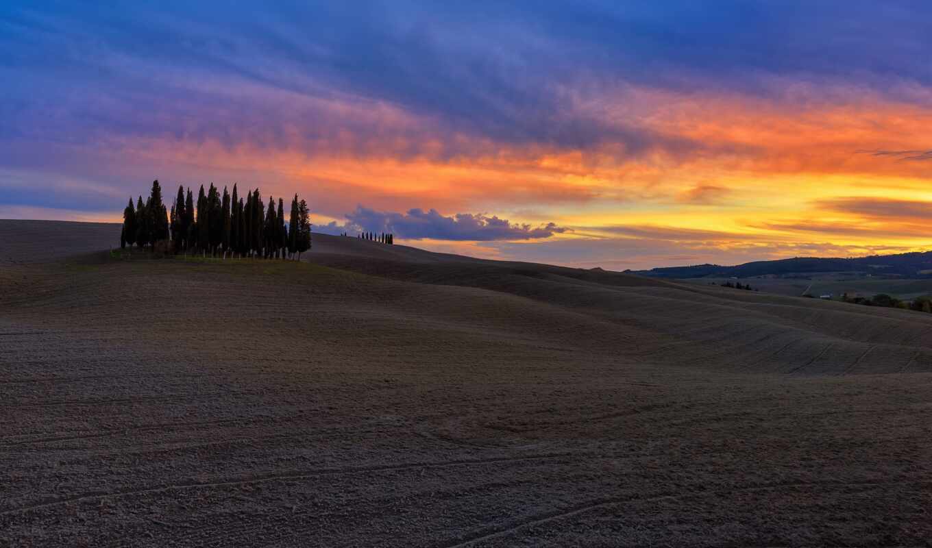tree, green, grass, landscape, cypress, val, Tuscany, free, orcia, im genes