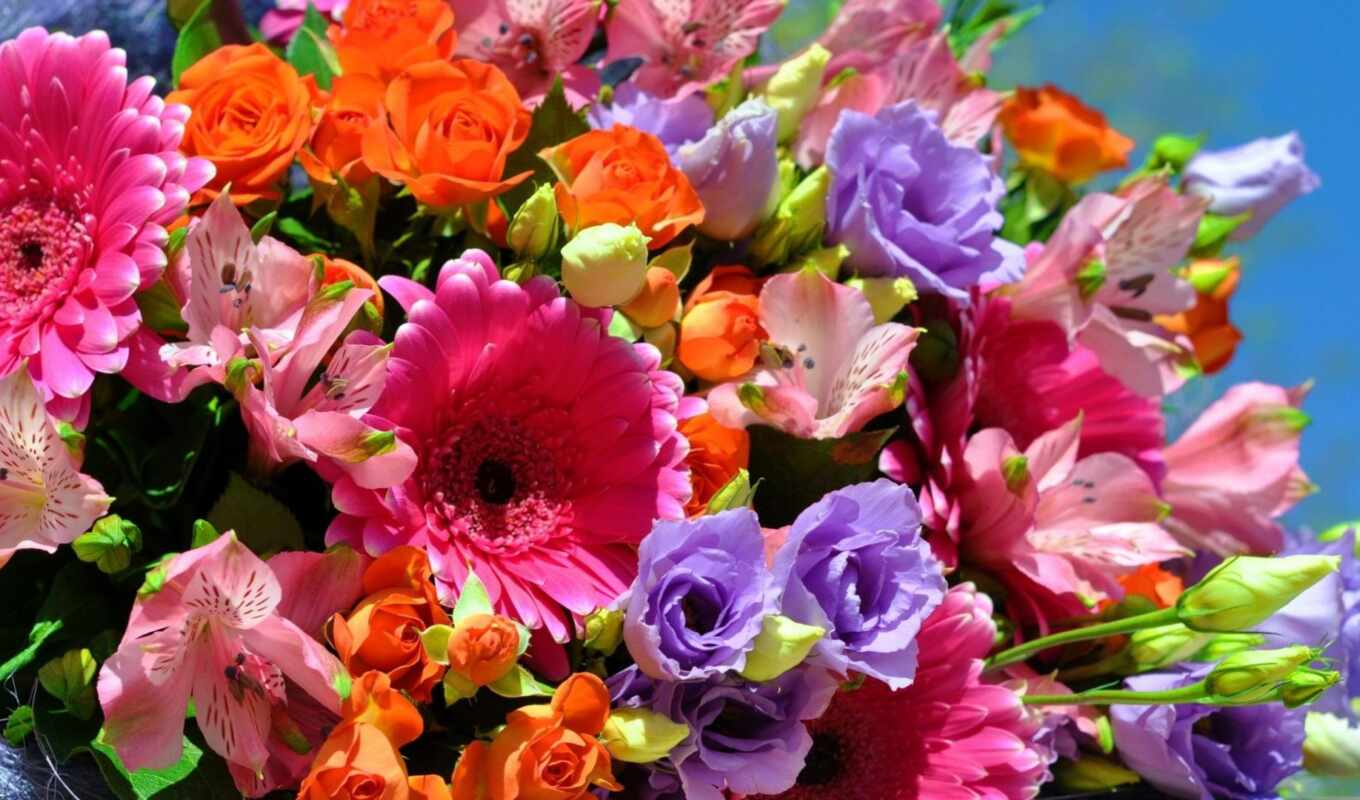 цветы, красочные, красивый, букет, lily, взлёт, gerbera