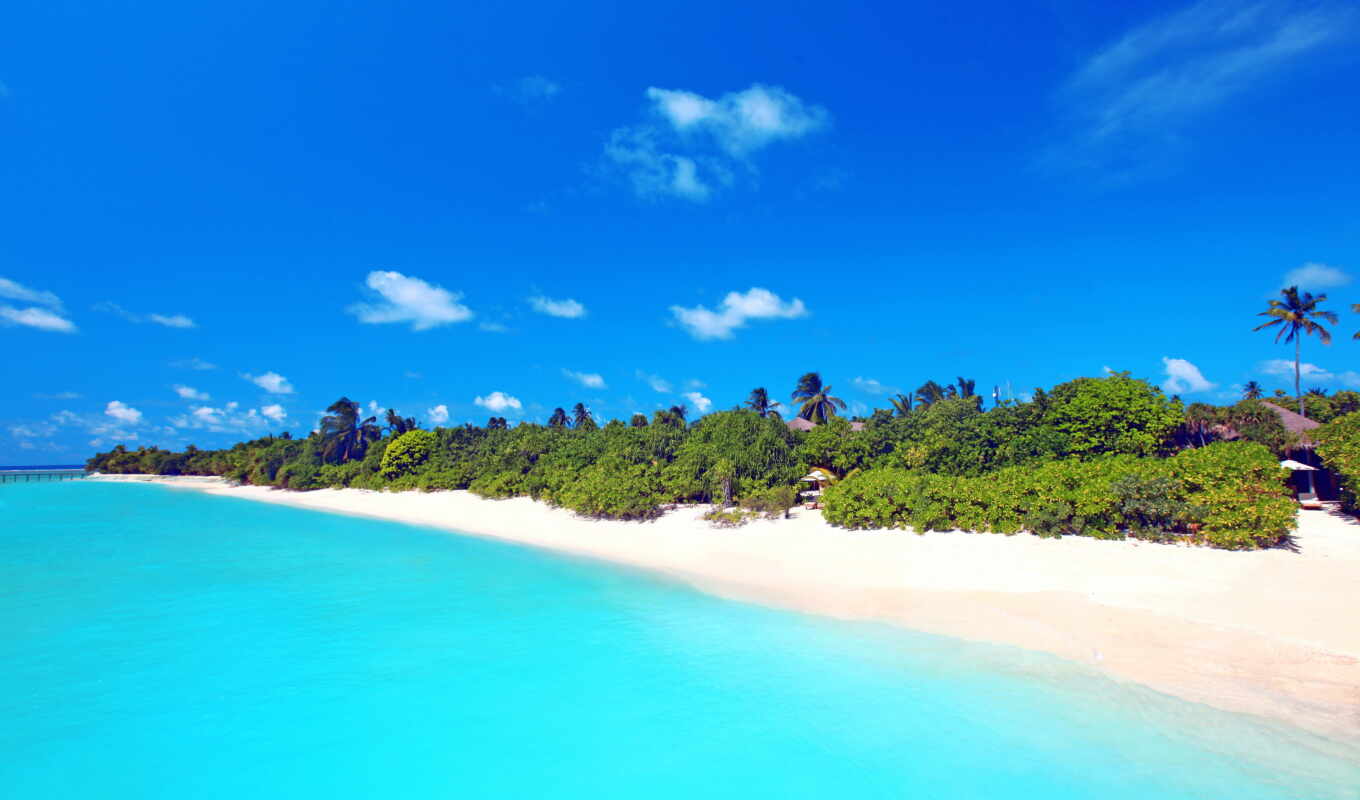 небо, summer, пляж, море, песок, пальмы, ocean, palm, maldives, tropics, бунгало