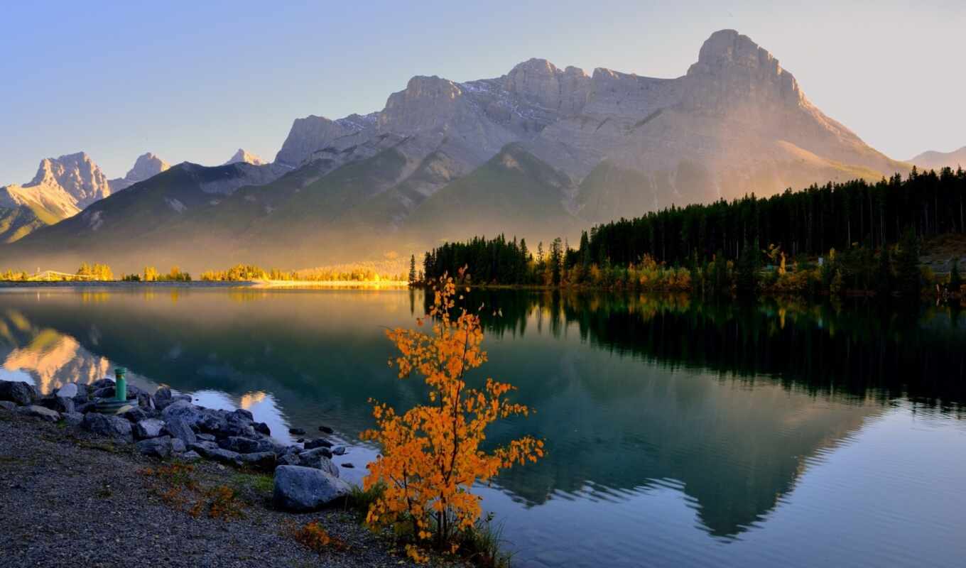 озеро, лес, гора, канада, утро, banff, травы, canmore