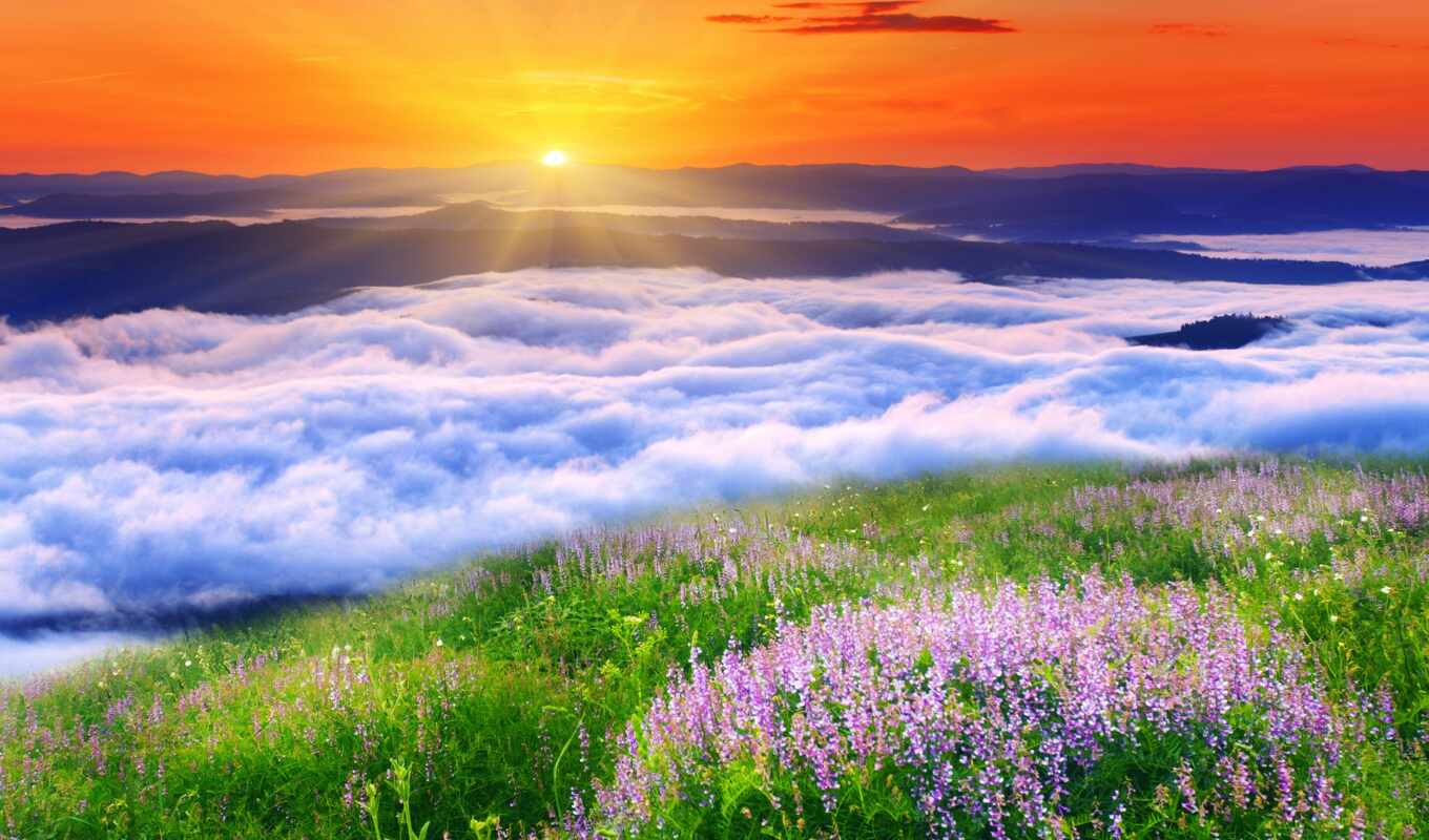 nature, good, flowers, sunset, country, fog, live, narrow, pazlyi