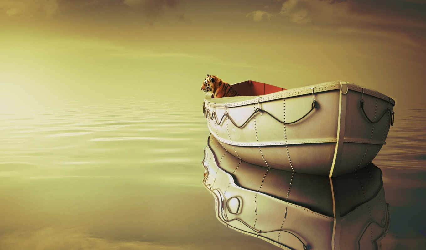 sky, background, tiger, star, a boat, life, sit, ray, stoloboi