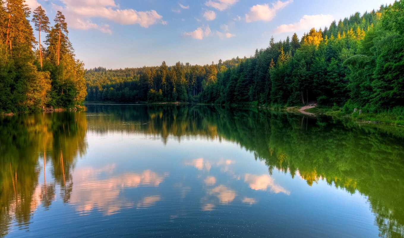 лес, россия, река, отражение, grad, умный, oir