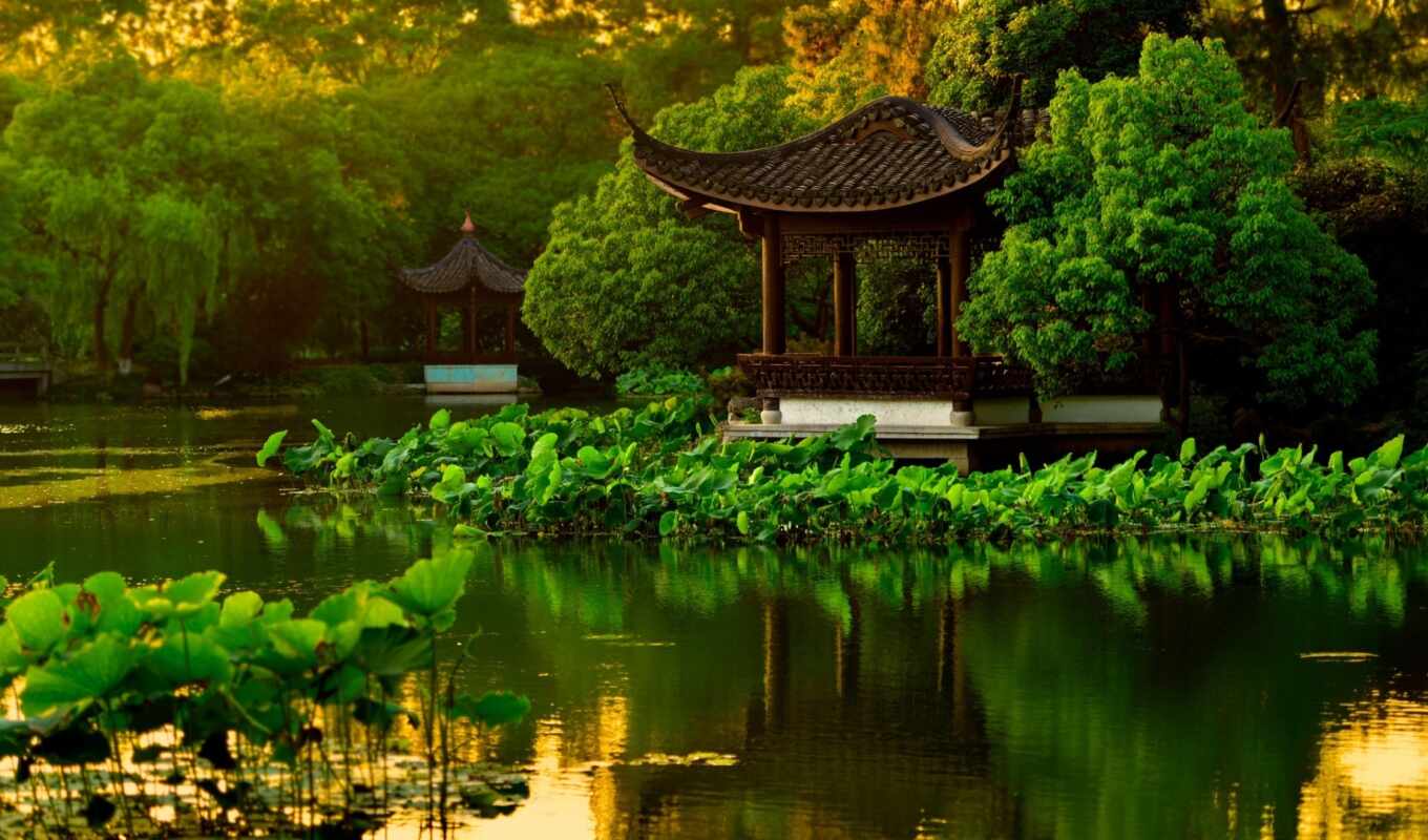 коллекция, water, garden, пруд, lotus, park, trees, китаянка, пагода, беседка, hangzhou