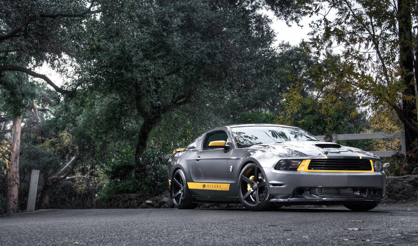 wall, kar, tuning, ford, mustang, silver, muscle, silver
